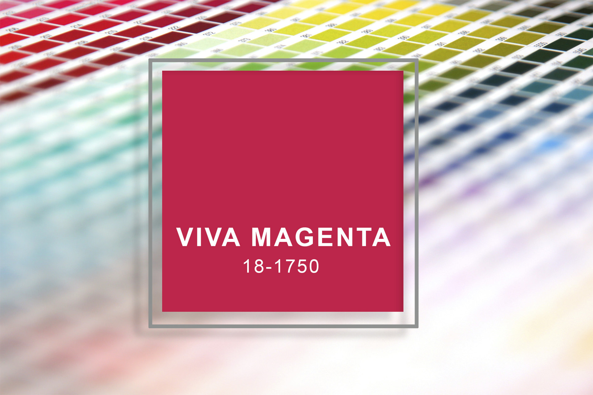 Viva Magenta: Pantone 2023 Color of the Year - design blog by HOM